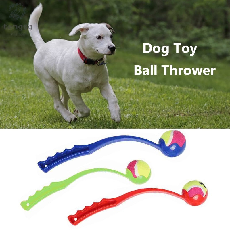 Dog Ball Launcher for Longer, Cleaner Outdoor Fetch