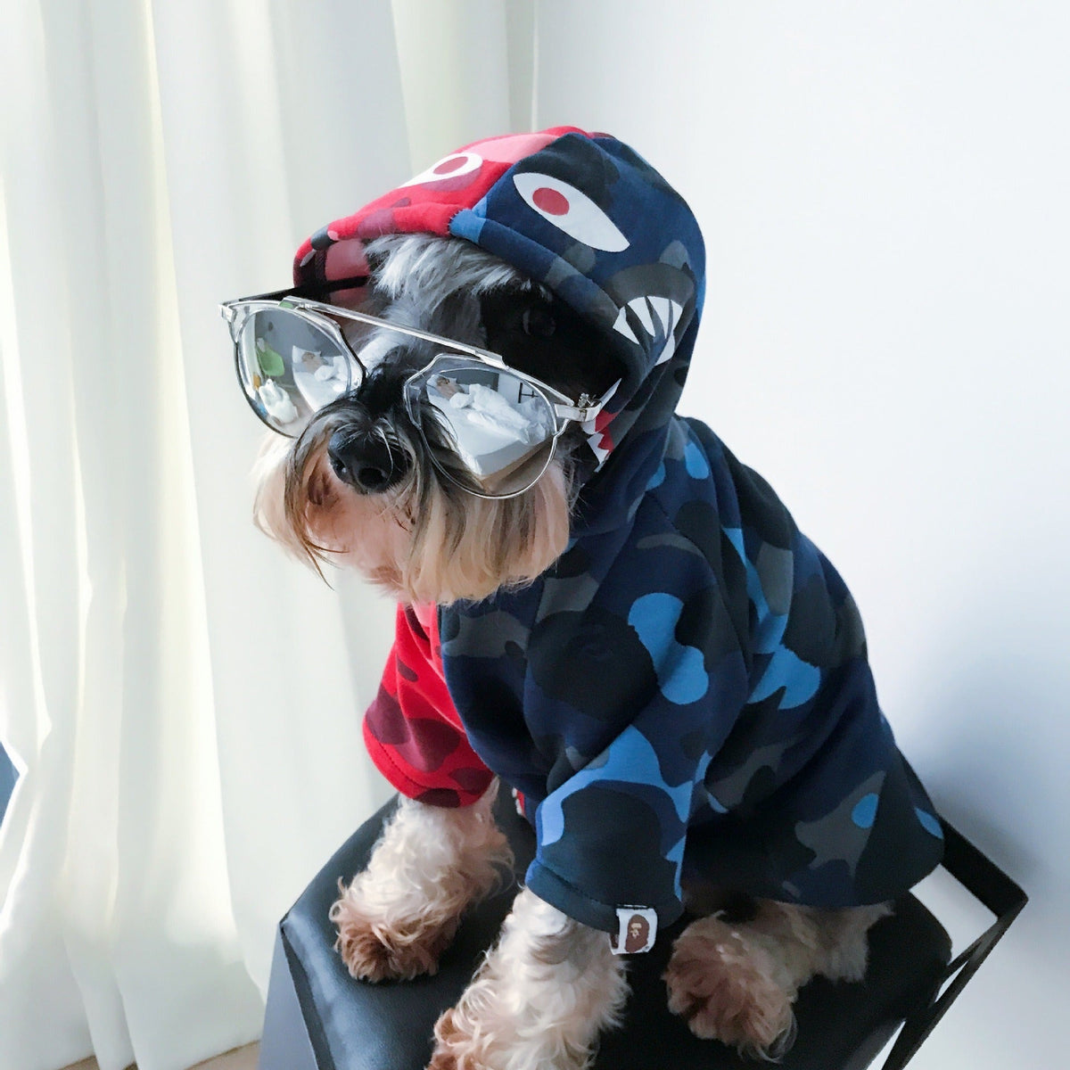Small Dog Winter Sweater With Hood | Cozy Coverage
