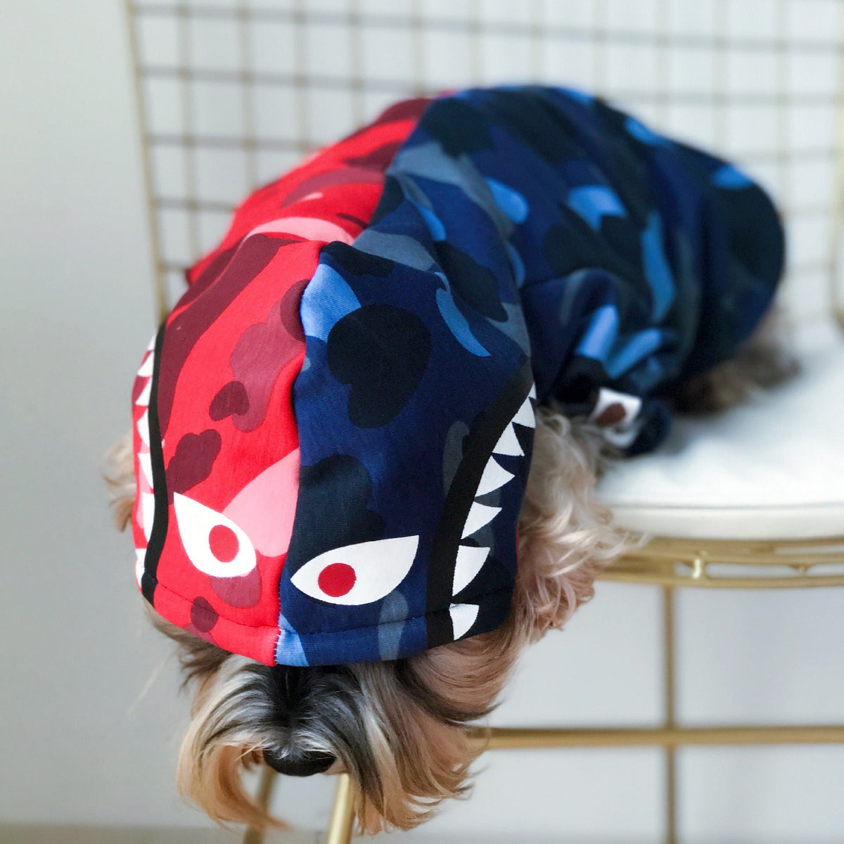 Small Dog Winter Sweater With Hood | Cozy Coverage
