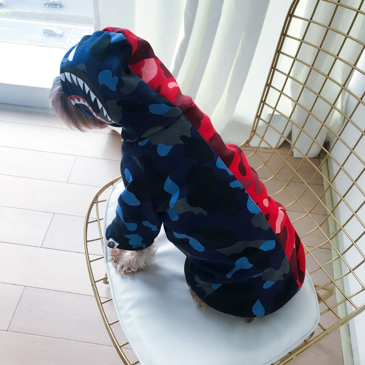 Small Dog Winter Sweater With Hood | Cozy Coverage