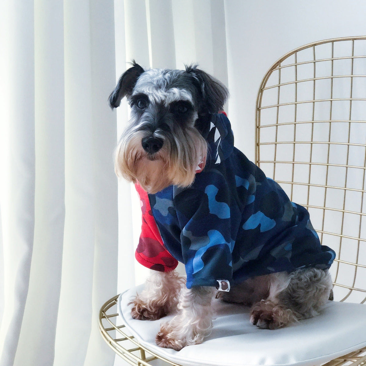 Small Dog Winter Sweater With Hood | Cozy Coverage
