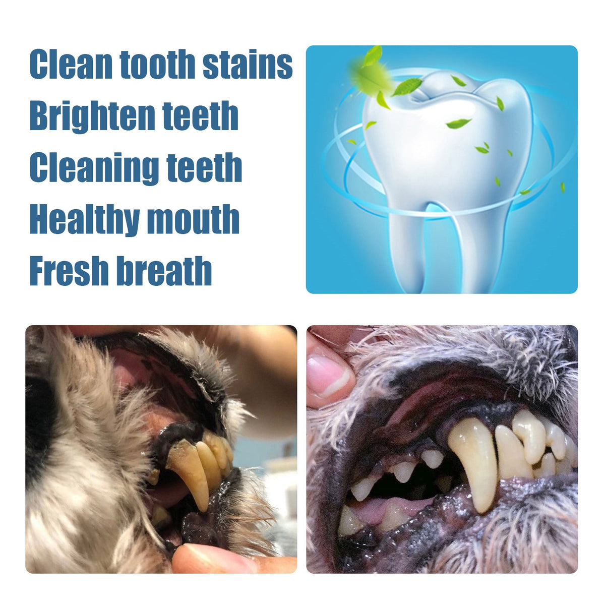 Pet Teeth Cleaning Pen for Fresher Breath & Stain Care