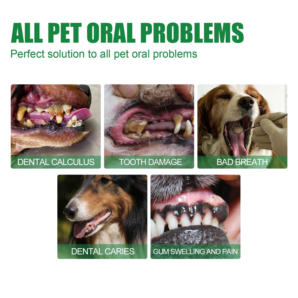 Pet Dental Spray for Fresh Breath & Cleaner Teeth