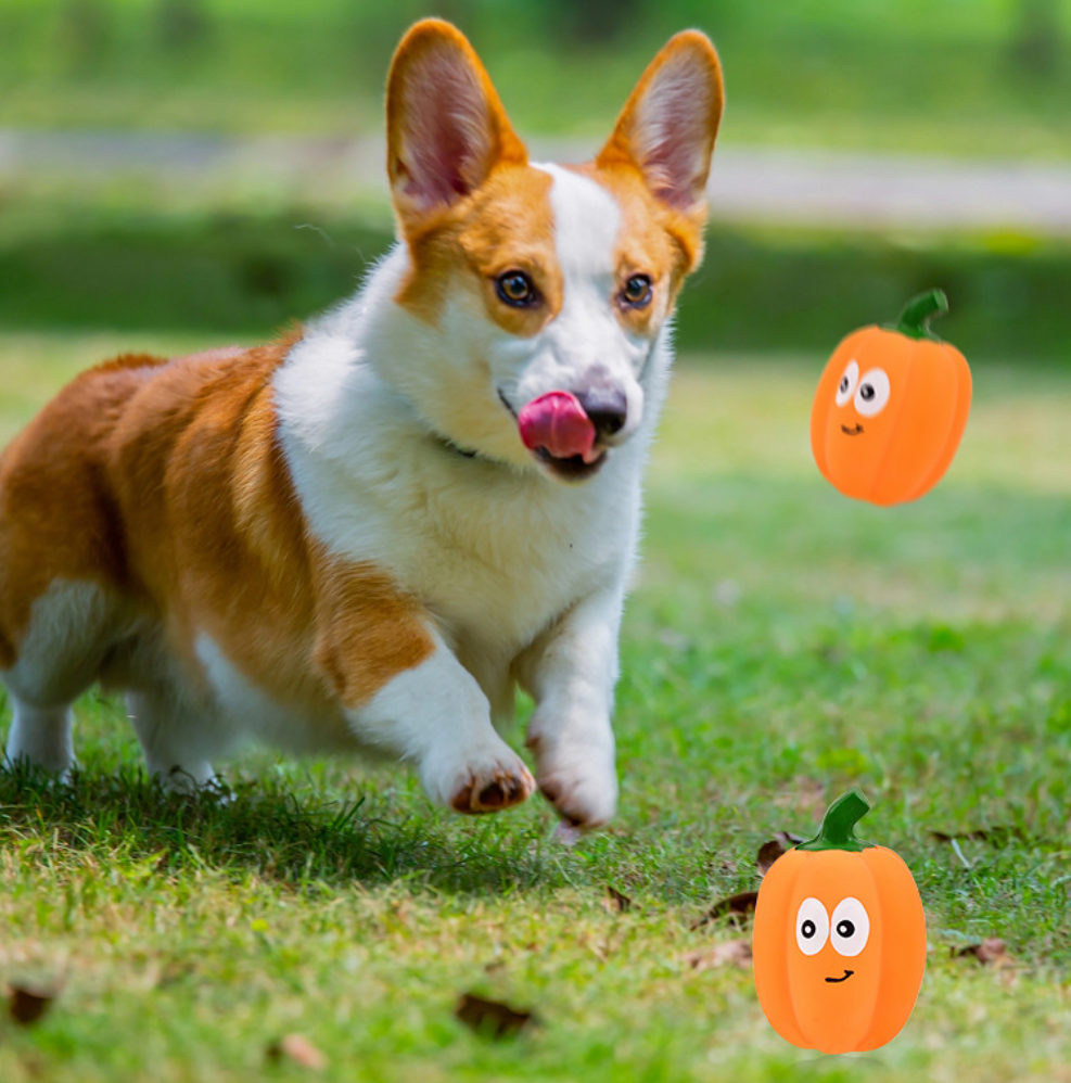 Latex Pumpkin Dog Toy for Engaging Interactive Play