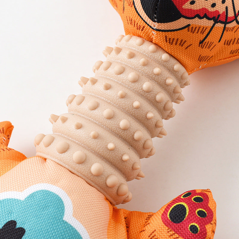 Squeaky Dog Chew Toy Set with Molar Texture, 3-Pack