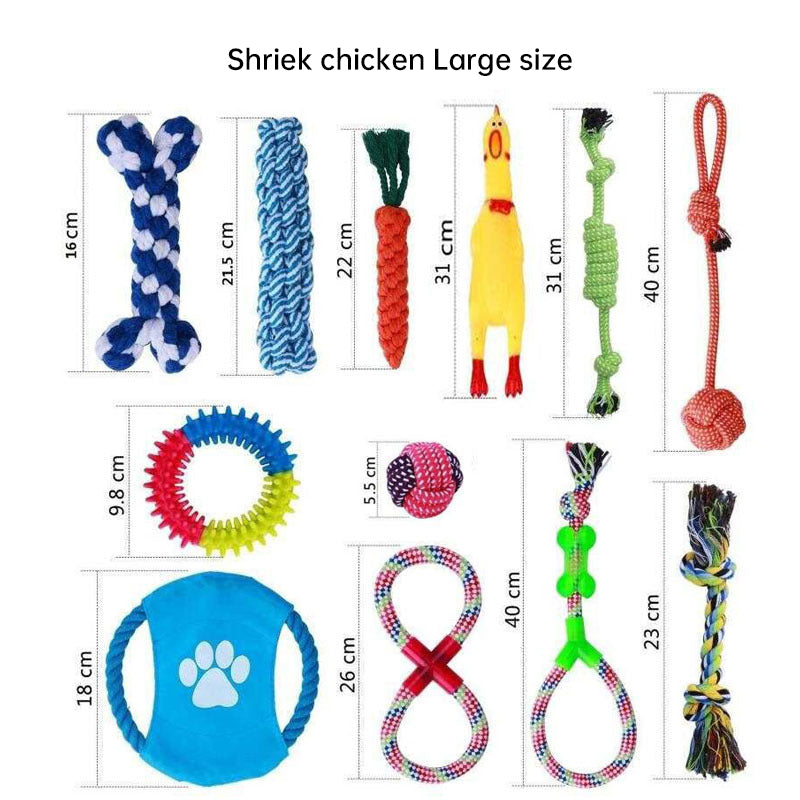 10-Piece Dog Toy Set for Chewing, Tugging & Fetch