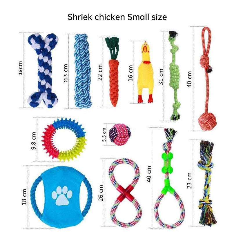 10-Piece Dog Toy Set for Chewing, Tugging & Fetch