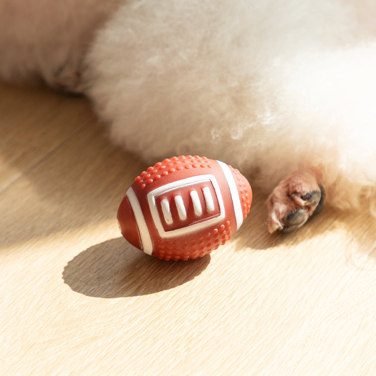 Textured Dog Fetch Toy for Interactive Daily Exercise