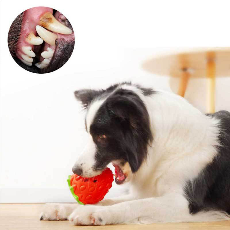 Strawberry Treat-Dispensing Dog Chew Toy for Enrichment