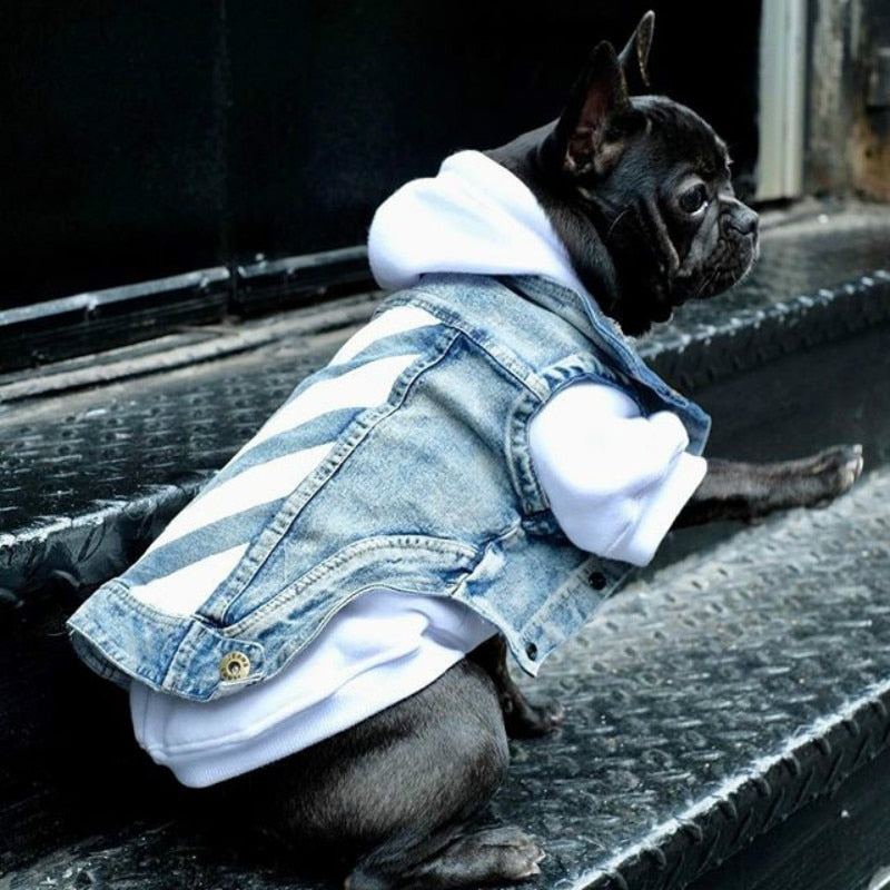Pet Denim Vest for Dogs & Cats | Handsome Cowboy Style