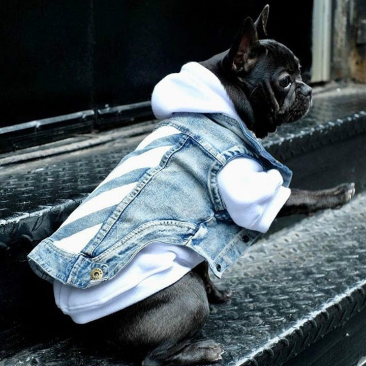 Pet Denim Vest for Dogs & Cats | Handsome Cowboy Style