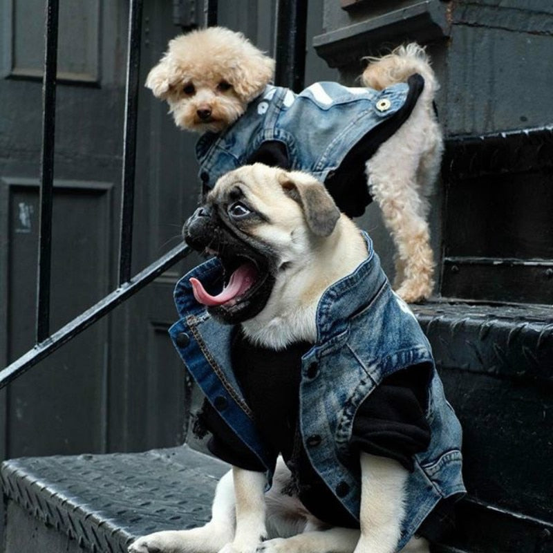 Pet Denim Vest for Dogs & Cats | Handsome Cowboy Style
