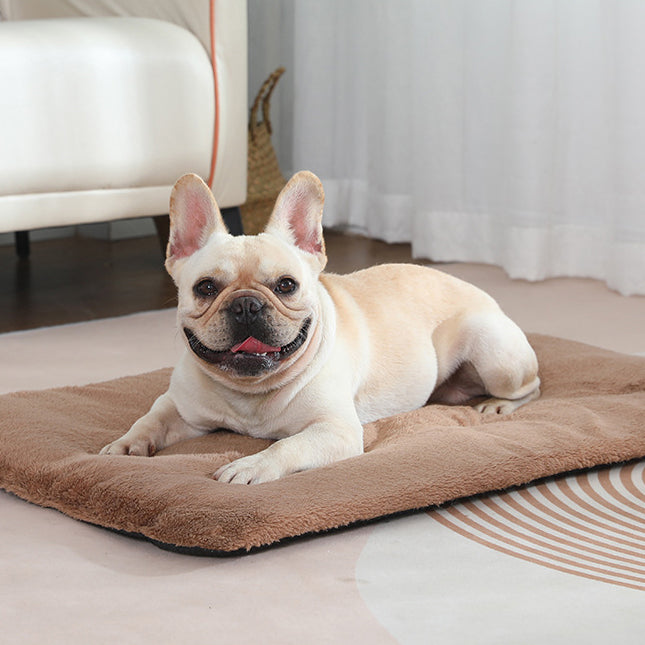 Pet Warmth Mat & Blanket for Cozy, Cushioned Pet Rest