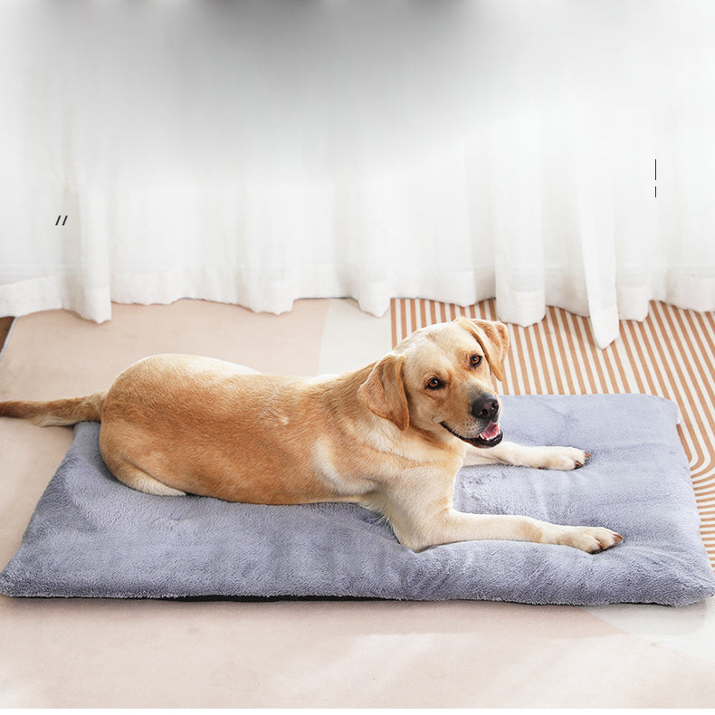 Pet Warmth Mat & Blanket for Cozy, Cushioned Pet Rest
