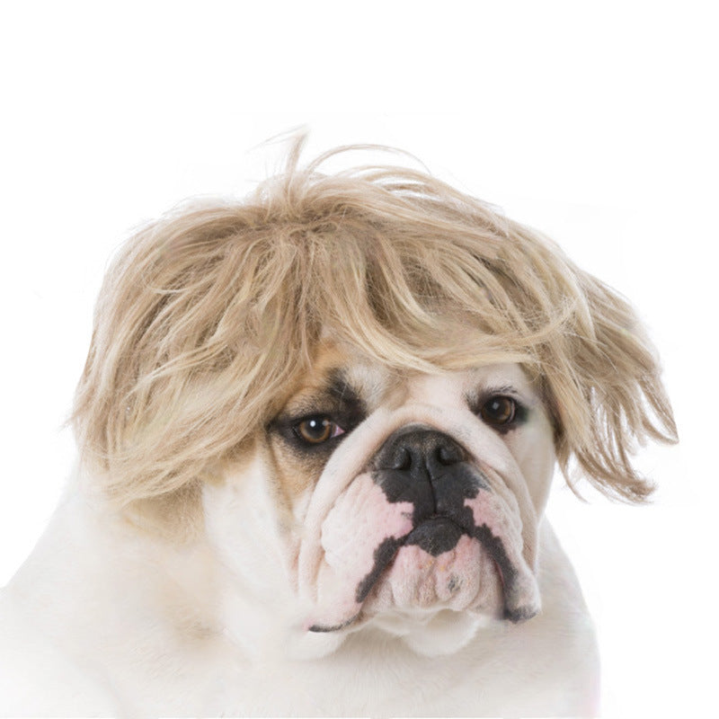 Pet Wig for Dogs: Instant Halloween Character Look