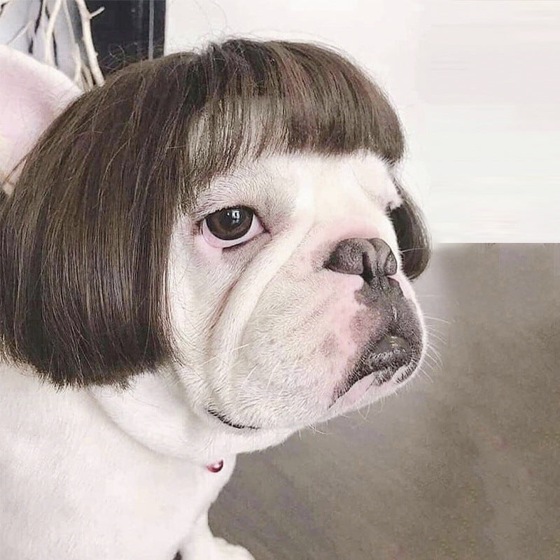 Pet Wig for Dogs: Instant Halloween Character Look