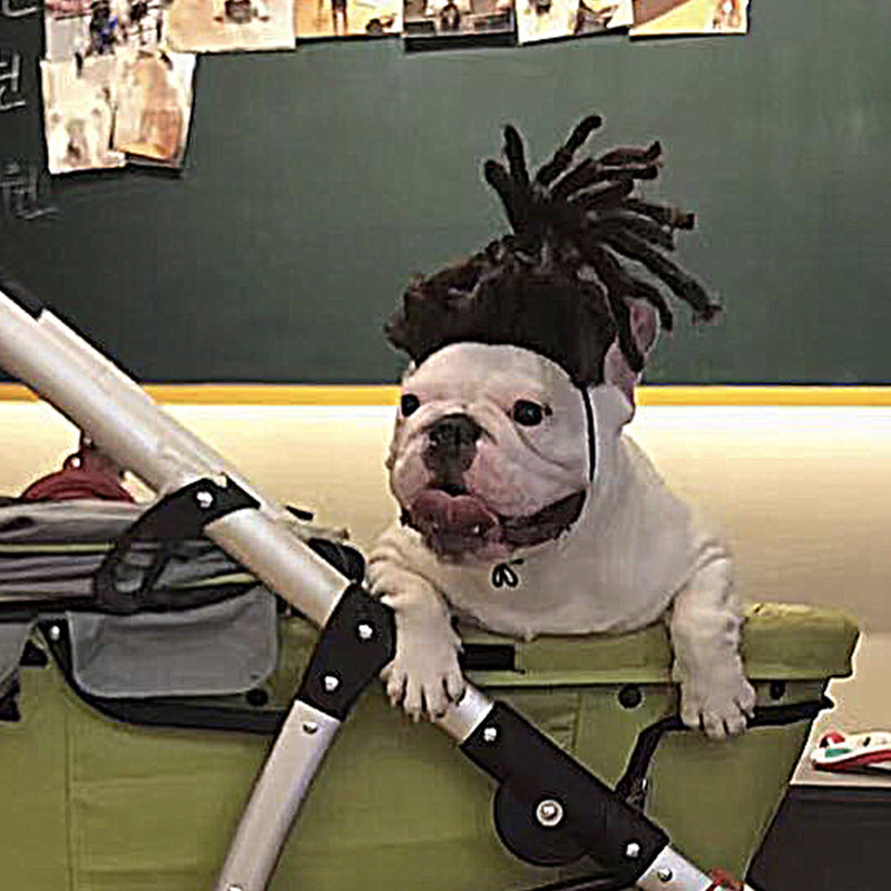 Pet Wig for Dogs: Instant Halloween Character Look