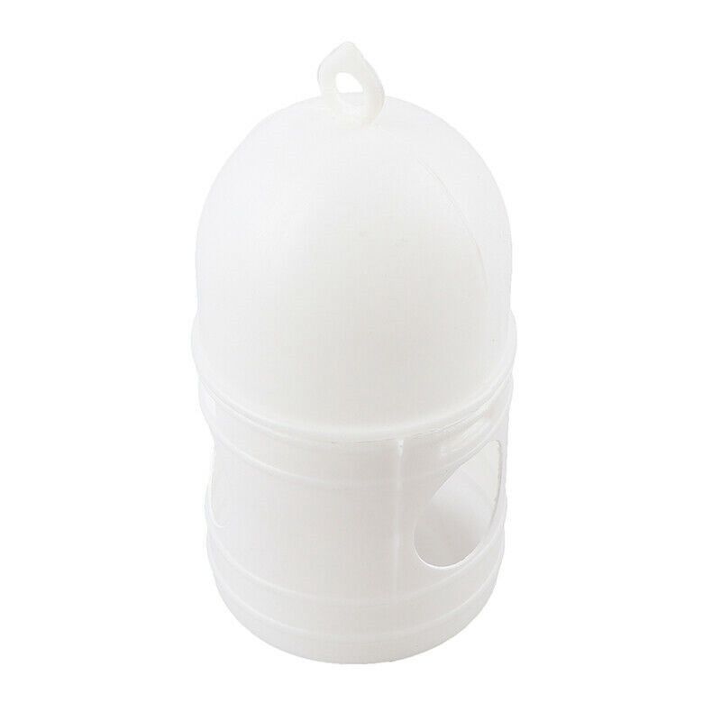 Pigeon Water Dispenser for Cleaner Daily Hydration