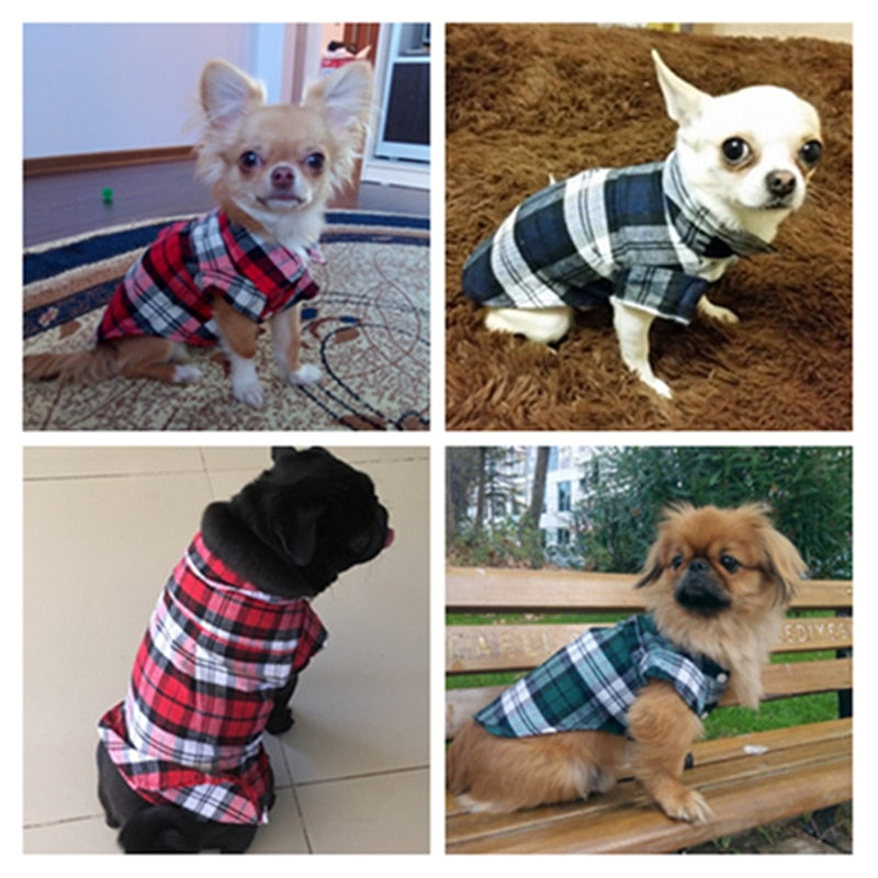Plaid Dog Shirts for Small Dogs | Stylish Daily Walks