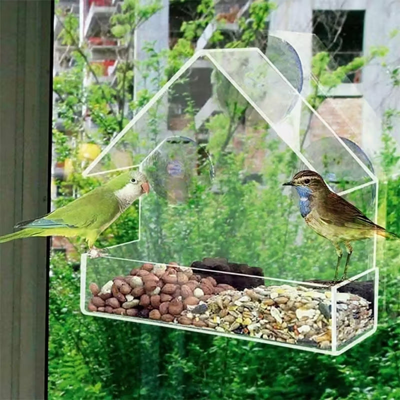 Window Hummingbird Feeder for Close-Up Birdwatching
