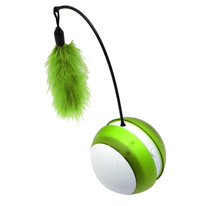 Interactive Rolling Cat Toy for Indoor Daily Exercise