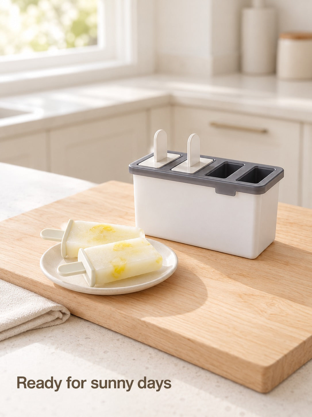 Popsicle Mould Box Set with Long Easy-Release Handles