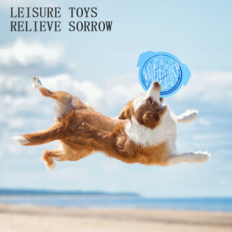 Portable Slow-Feeding Dog Bowl & Lick Mat for Travel
