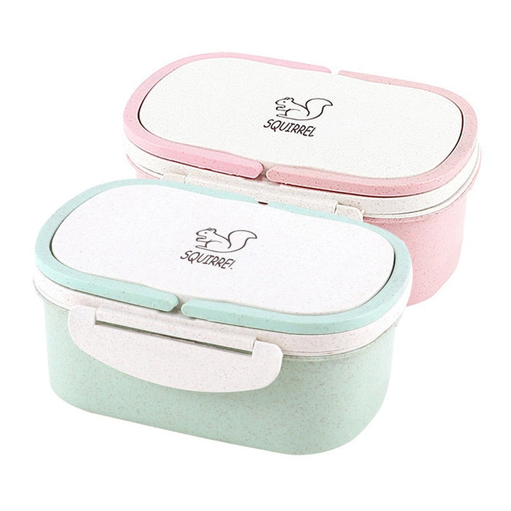 Two-Layer Bento Lunch Box for Neat, Compact Meal Prep