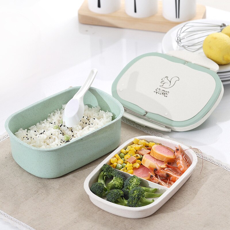 Two-Layer Bento Lunch Box for Neat, Compact Meal Prep