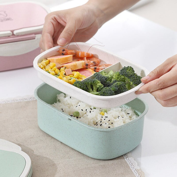 Two-Layer Bento Lunch Box for Neat, Compact Meal Prep