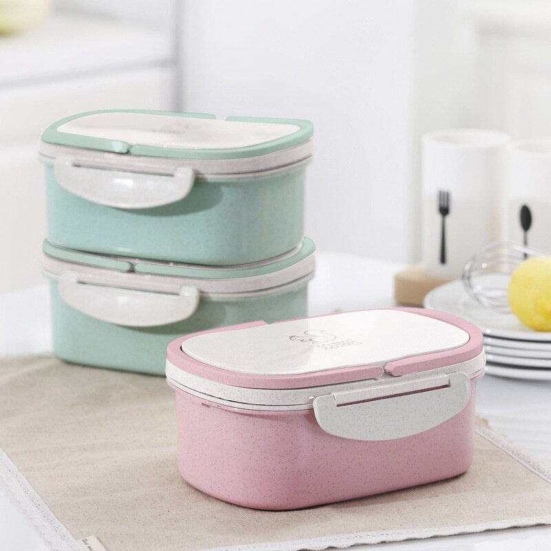 Two-Layer Bento Lunch Box for Neat, Compact Meal Prep