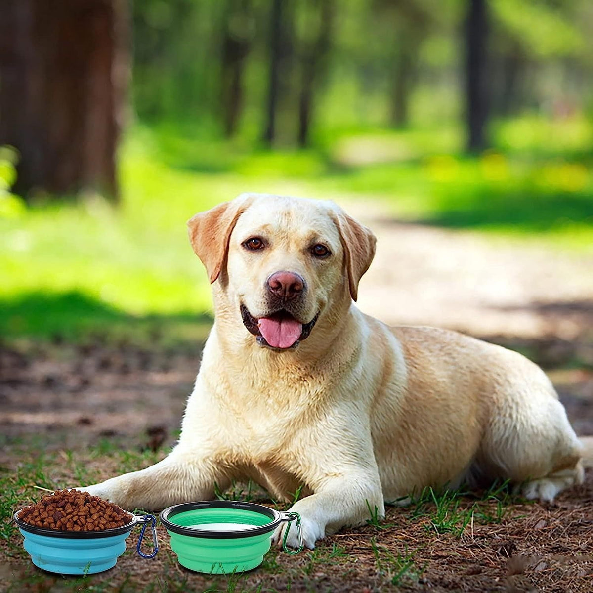 Portable Dog Bowl for Travel & Easy Outdoor Hydration