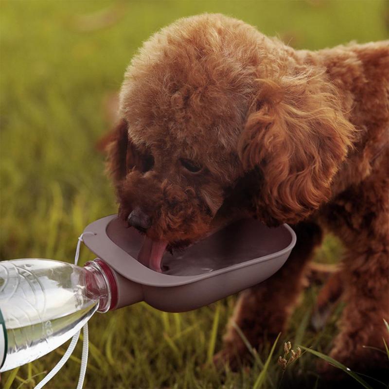 Portable Pet Water Bottle Bowl for Fresh Water Anywhere