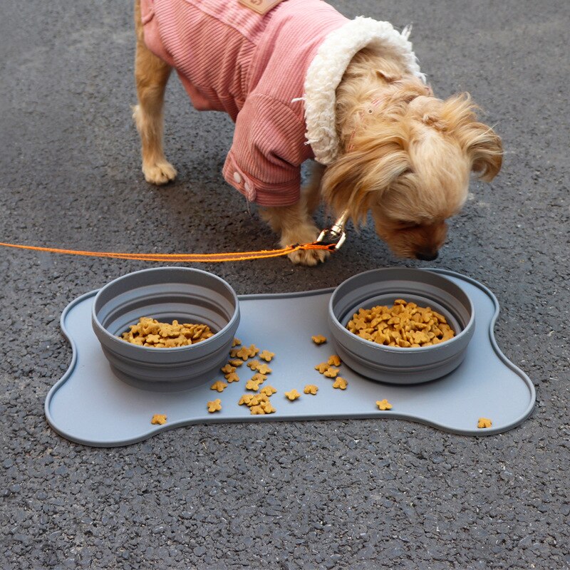 Portable Pet Bowls: Compact Two-Bowl Travel Feeding Set