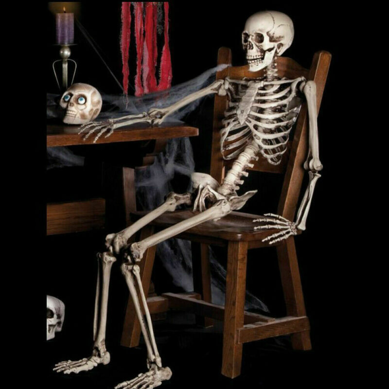 Poseable Skeleton Prop for Spooky Halloween Displays