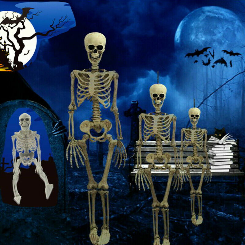 Poseable Skeleton Prop for Spooky Halloween Displays