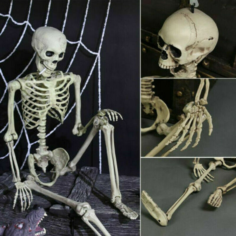 Poseable Skeleton Prop for Spooky Halloween Displays