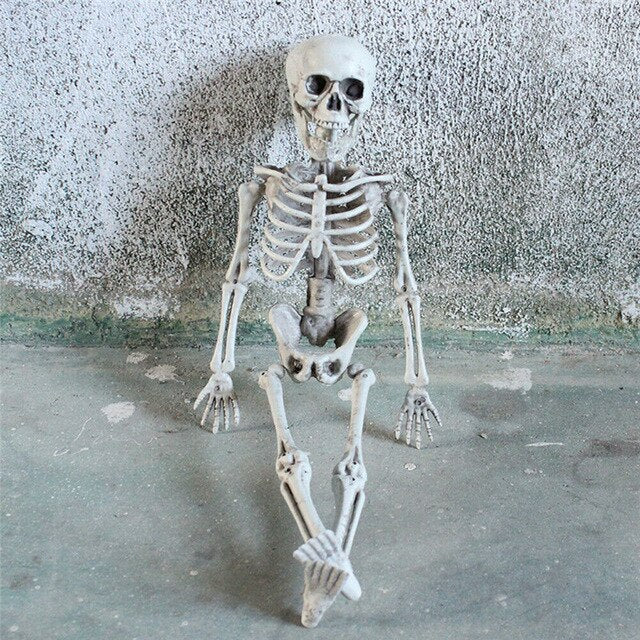 Poseable Skeleton Prop for Spooky Halloween Displays