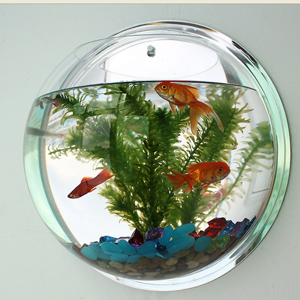 Wall-Mounted Aquarium Bowl for Small-Space Home Décor