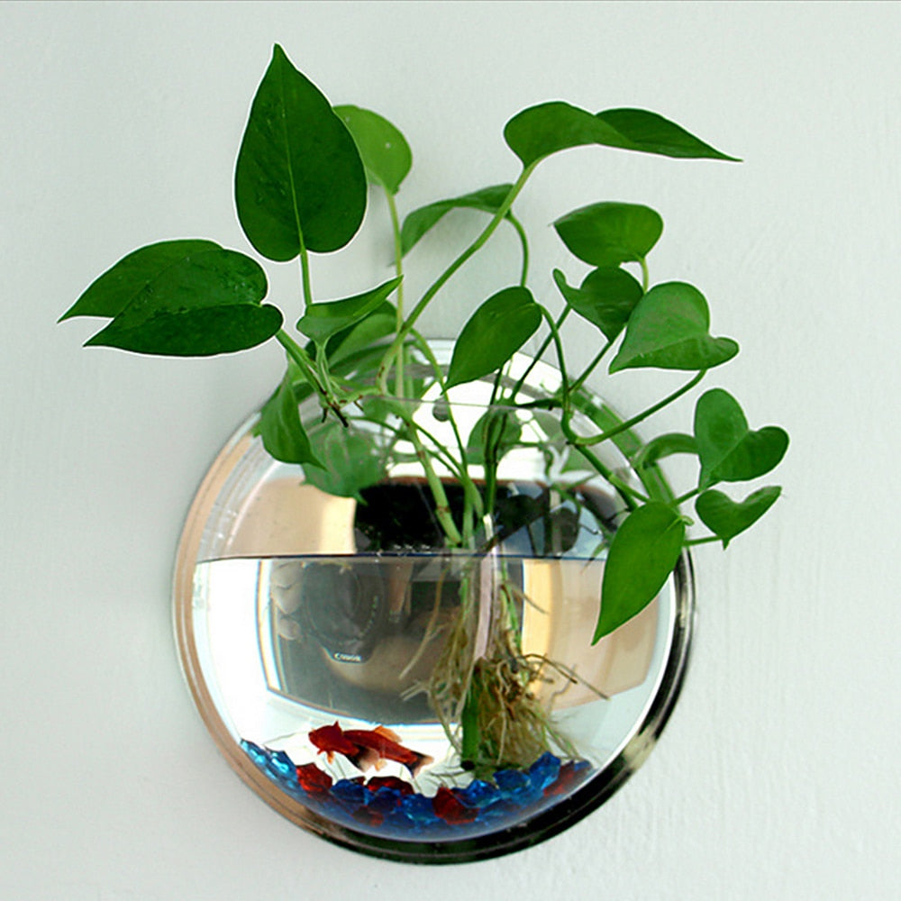 Wall-Mounted Aquarium Bowl for Small-Space Home Décor