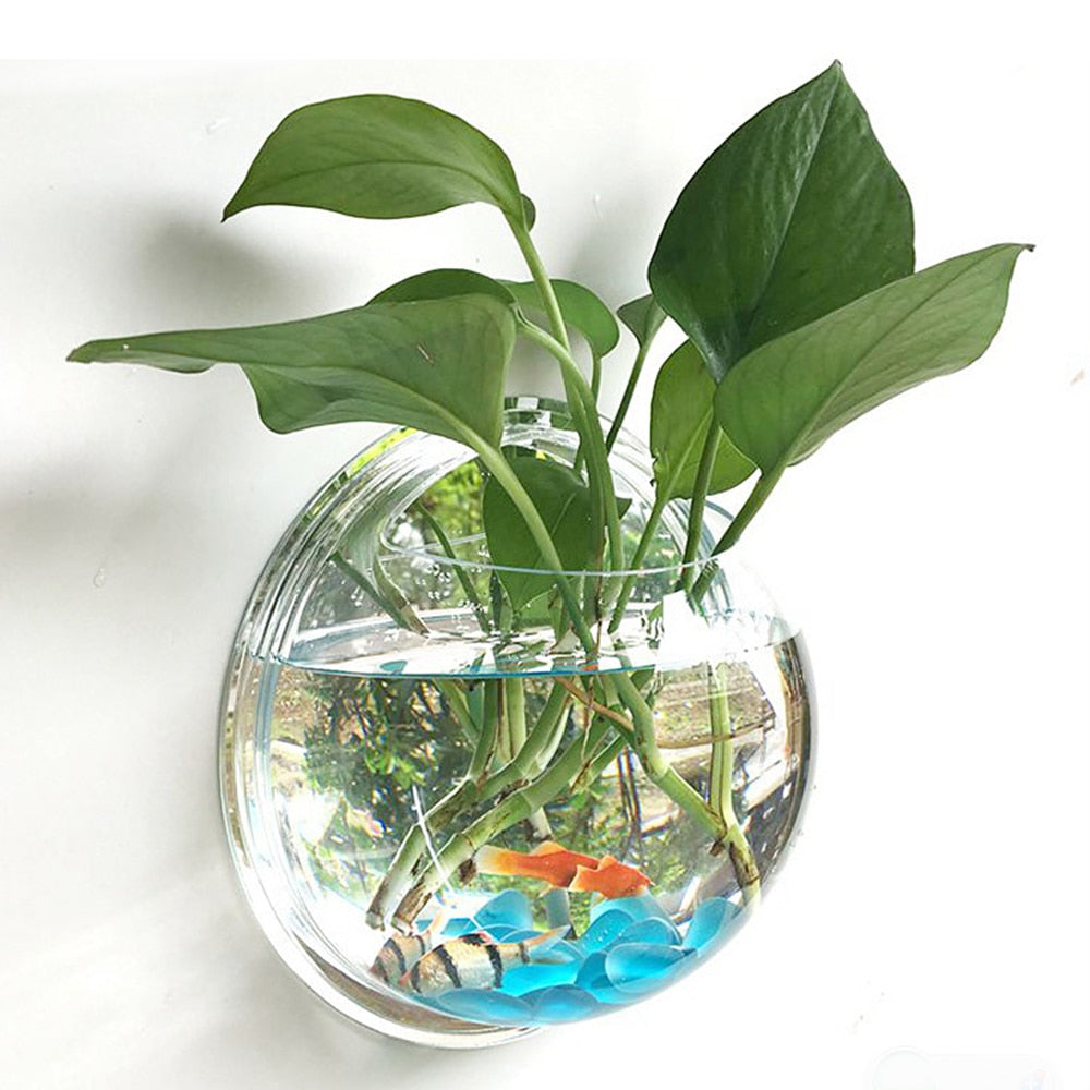 Wall-Mounted Aquarium Bowl for Small-Space Home Décor