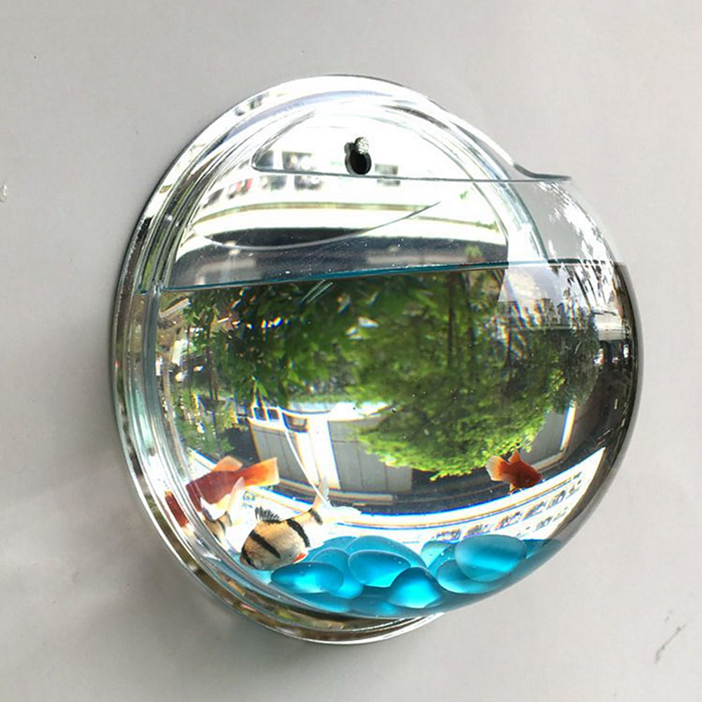 Wall-Mounted Aquarium Bowl for Small-Space Home Décor