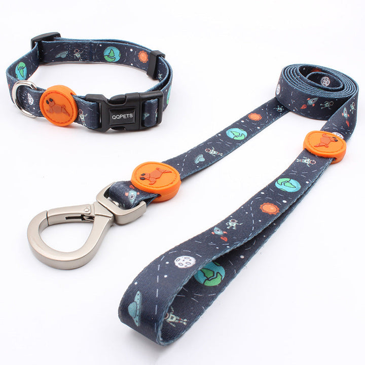 Large Dog Leash Set With Matching Collar & Harness