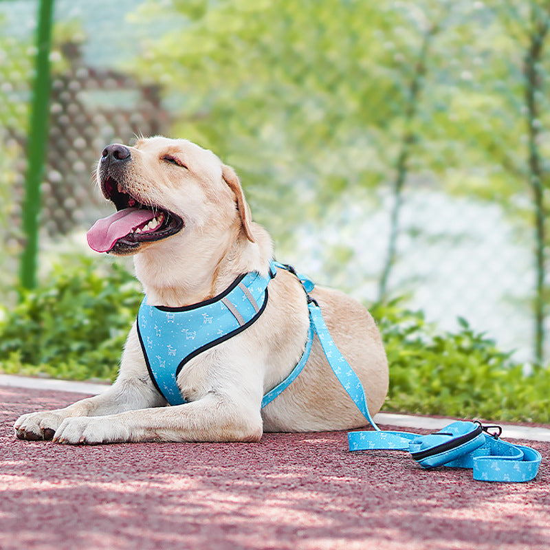 Six-Piece Dog Harness Set With Reflective Walking Comfort