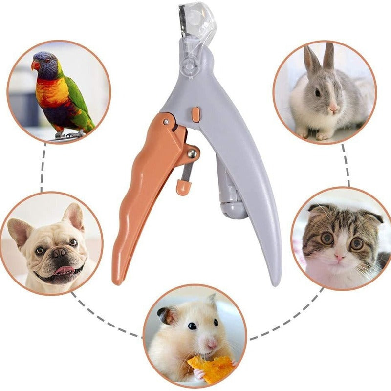 LED Pet Nail Clippers with 5× Magnification for Dogs