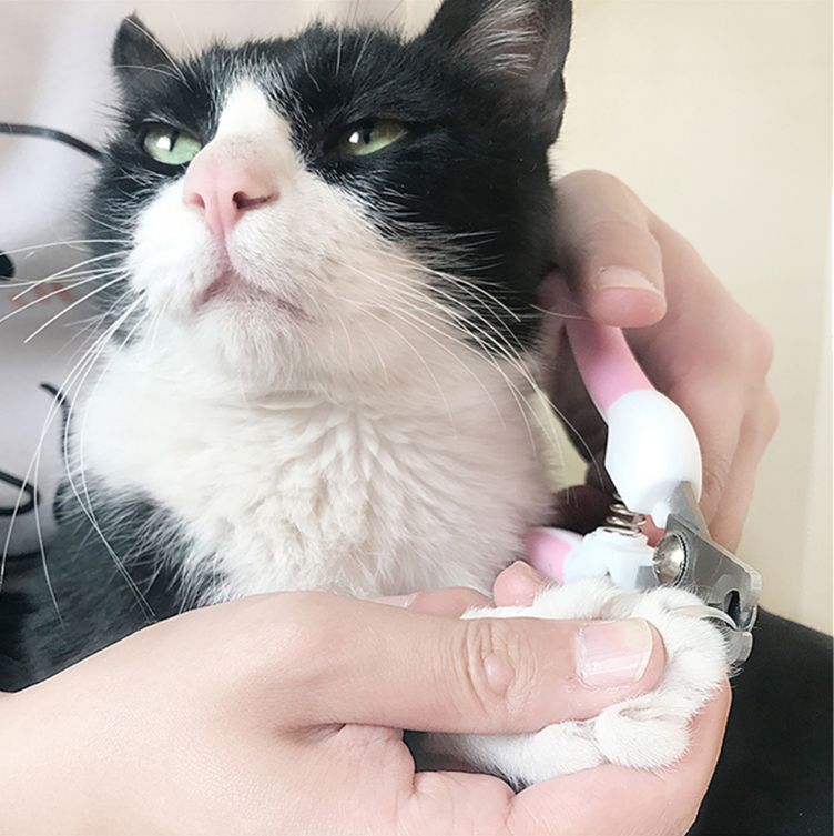 Dog Nail Clippers for Controlled, Low-Effort Grooming