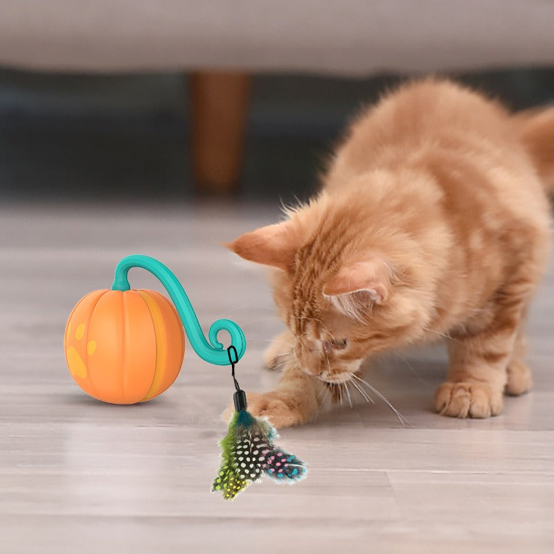 Interactive Cat Toy With Motion, Lights & Clap Control