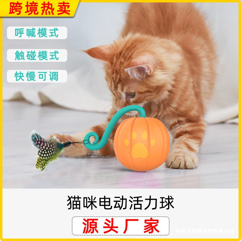 Interactive Cat Toy With Motion, Lights & Clap Control