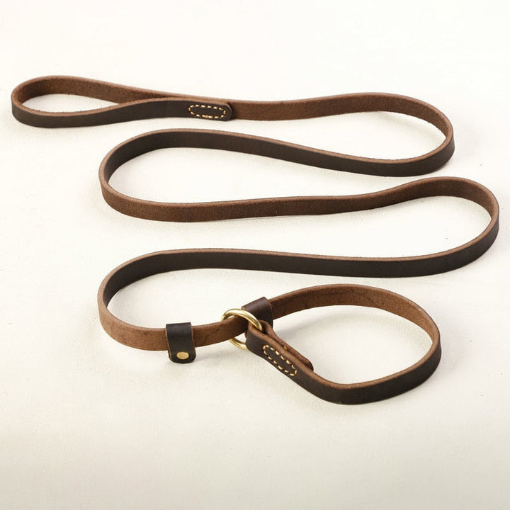 Leather Slip Dog Leash Collar | Streamlined Control