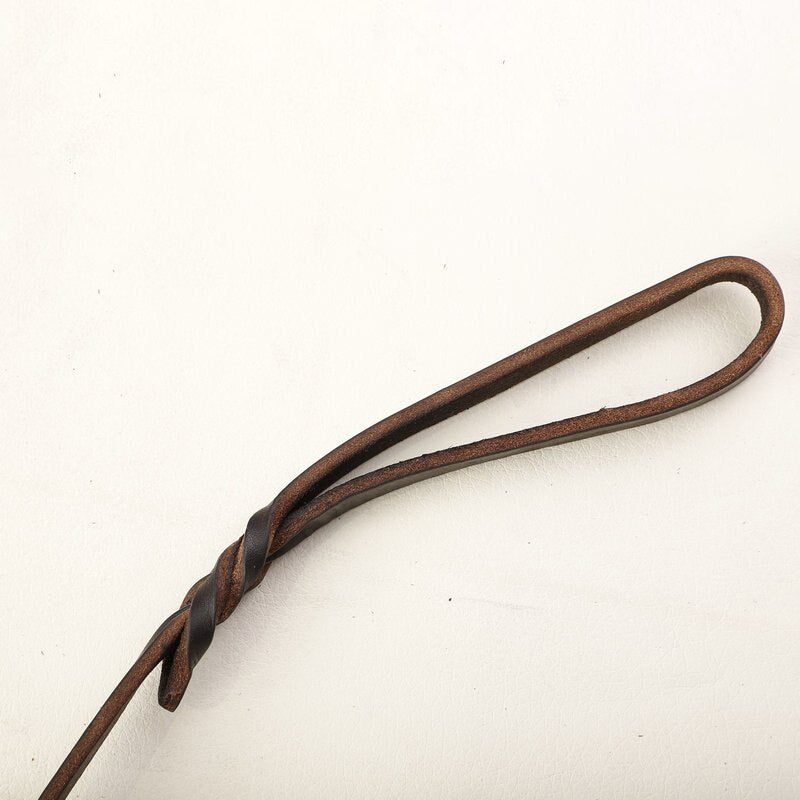 Leather Slip Dog Leash Collar | Streamlined Control